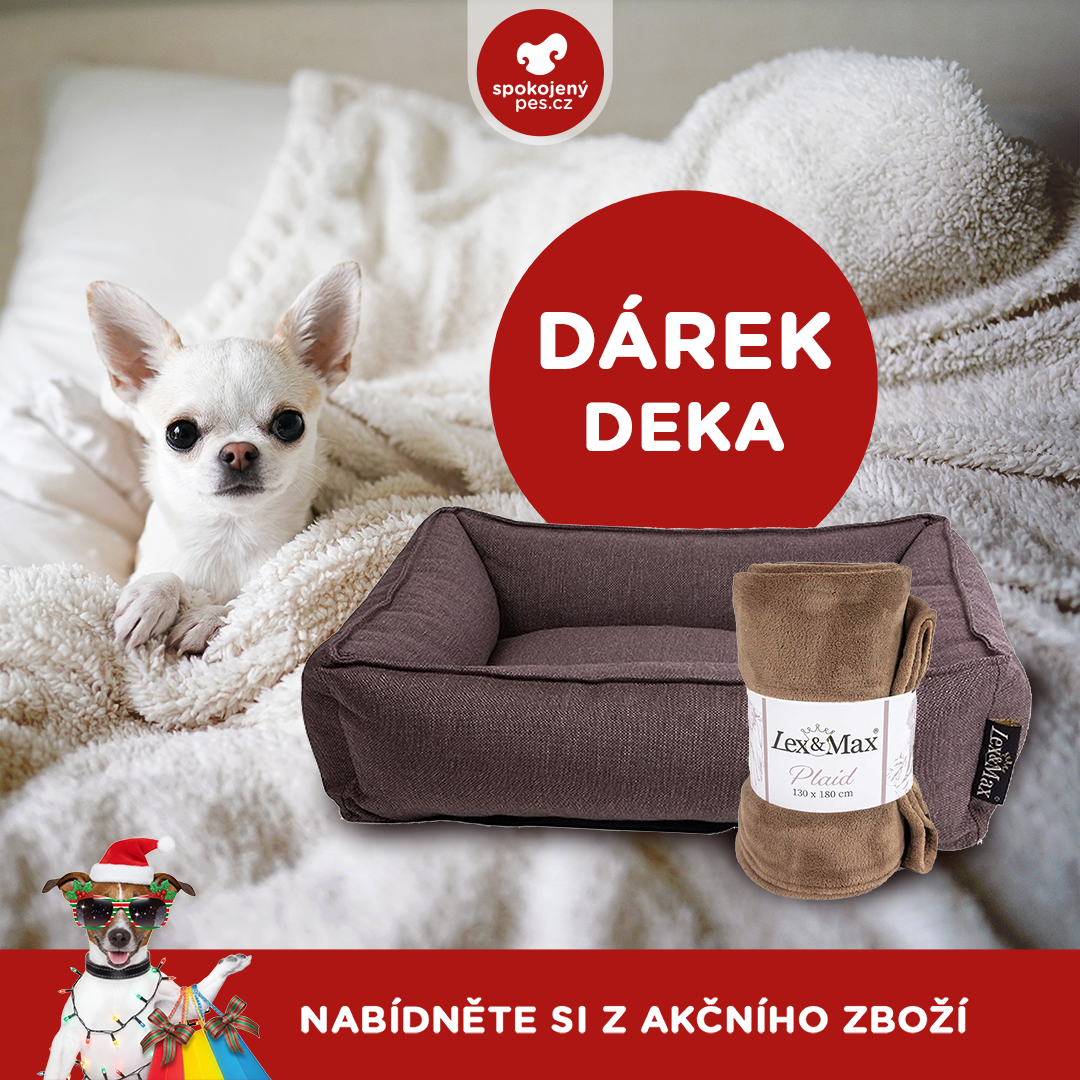 akční prosinec_pes7.png